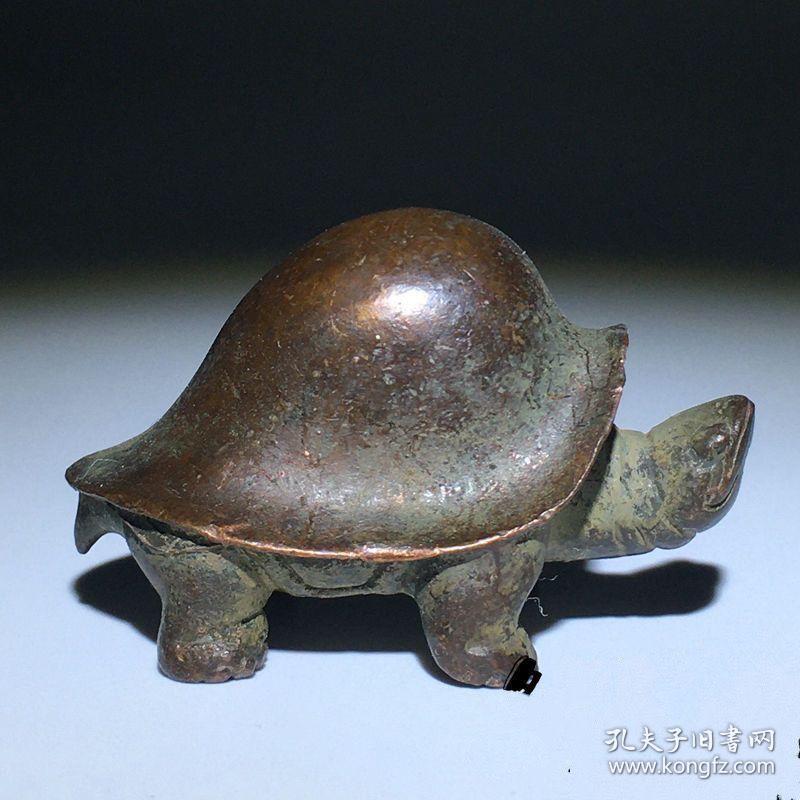 長壽龜的介紹