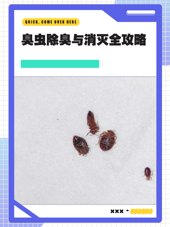 家里有臭蟲的征兆