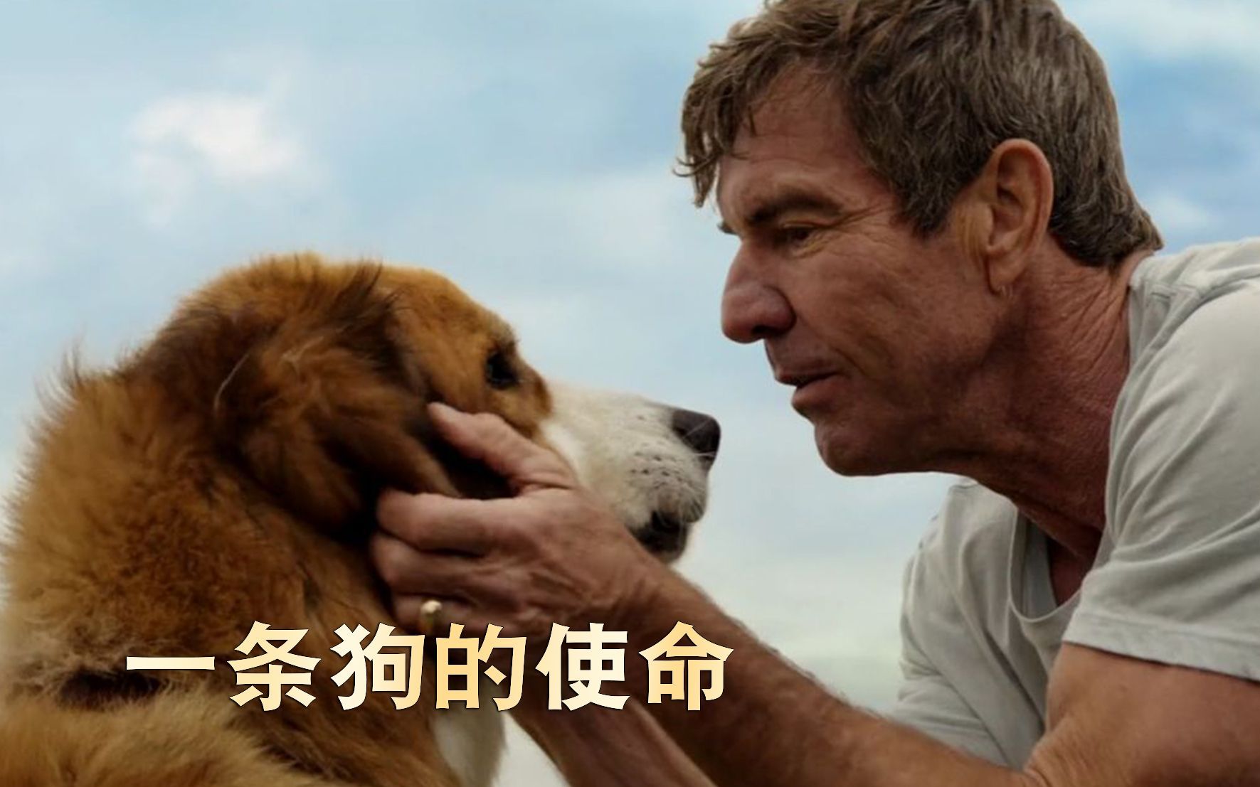 講狗狗的電影美國