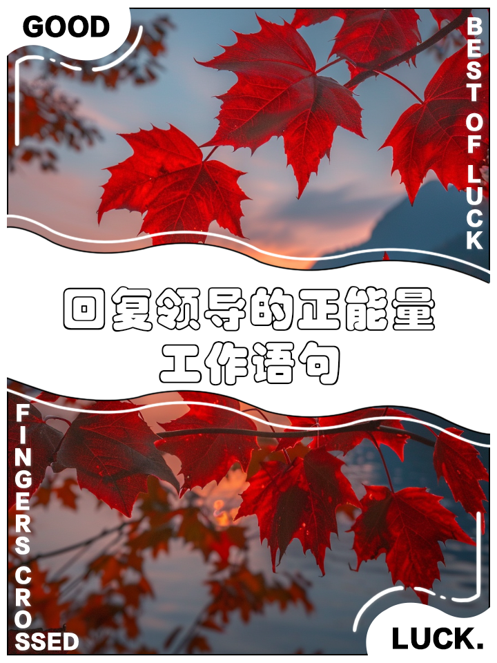 關于工作中正能量分享