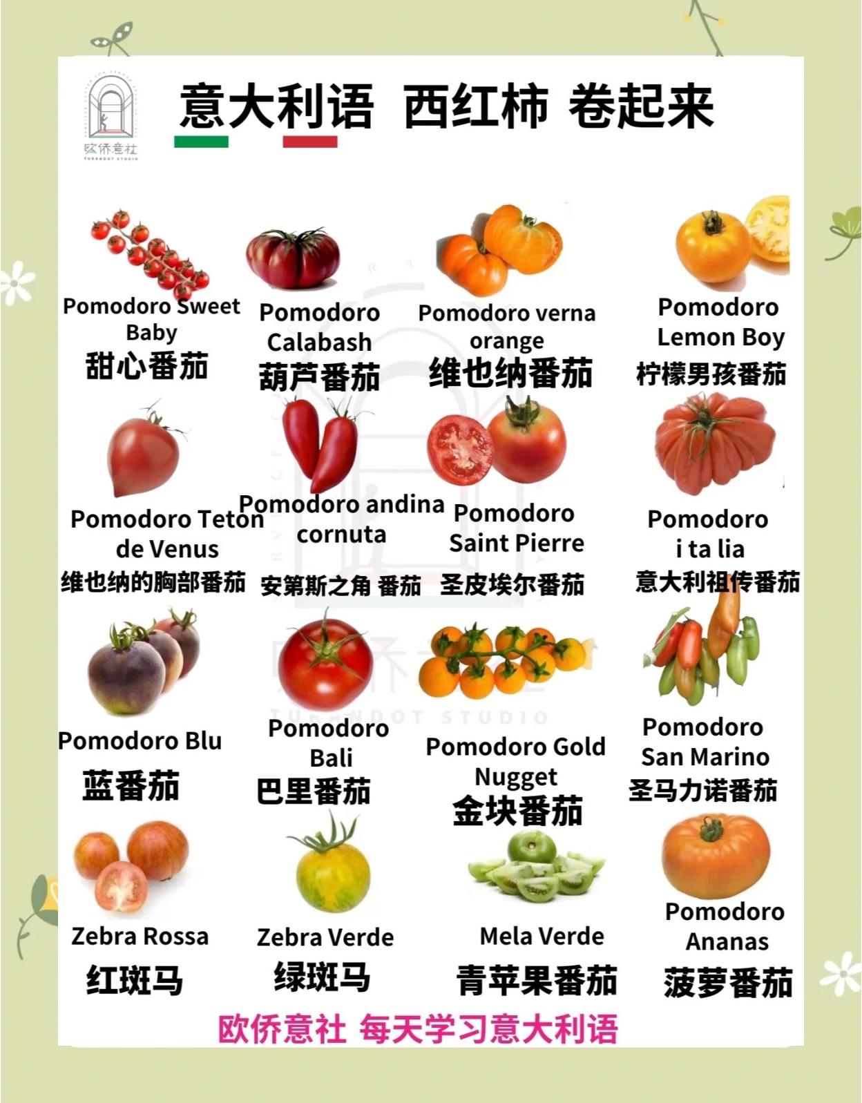 西紅柿的介紹20字