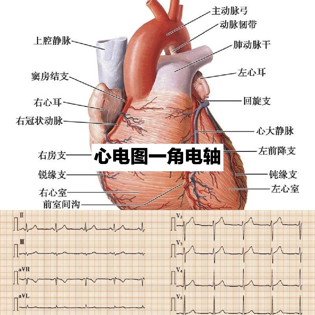 小孩電軸右偏什么意思