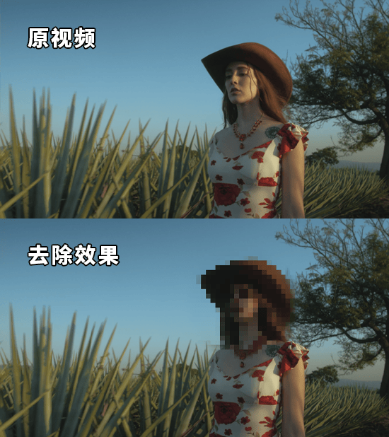 怎樣視頻打馬賽克?
