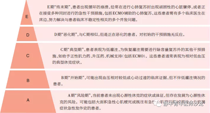 休克分期及表現