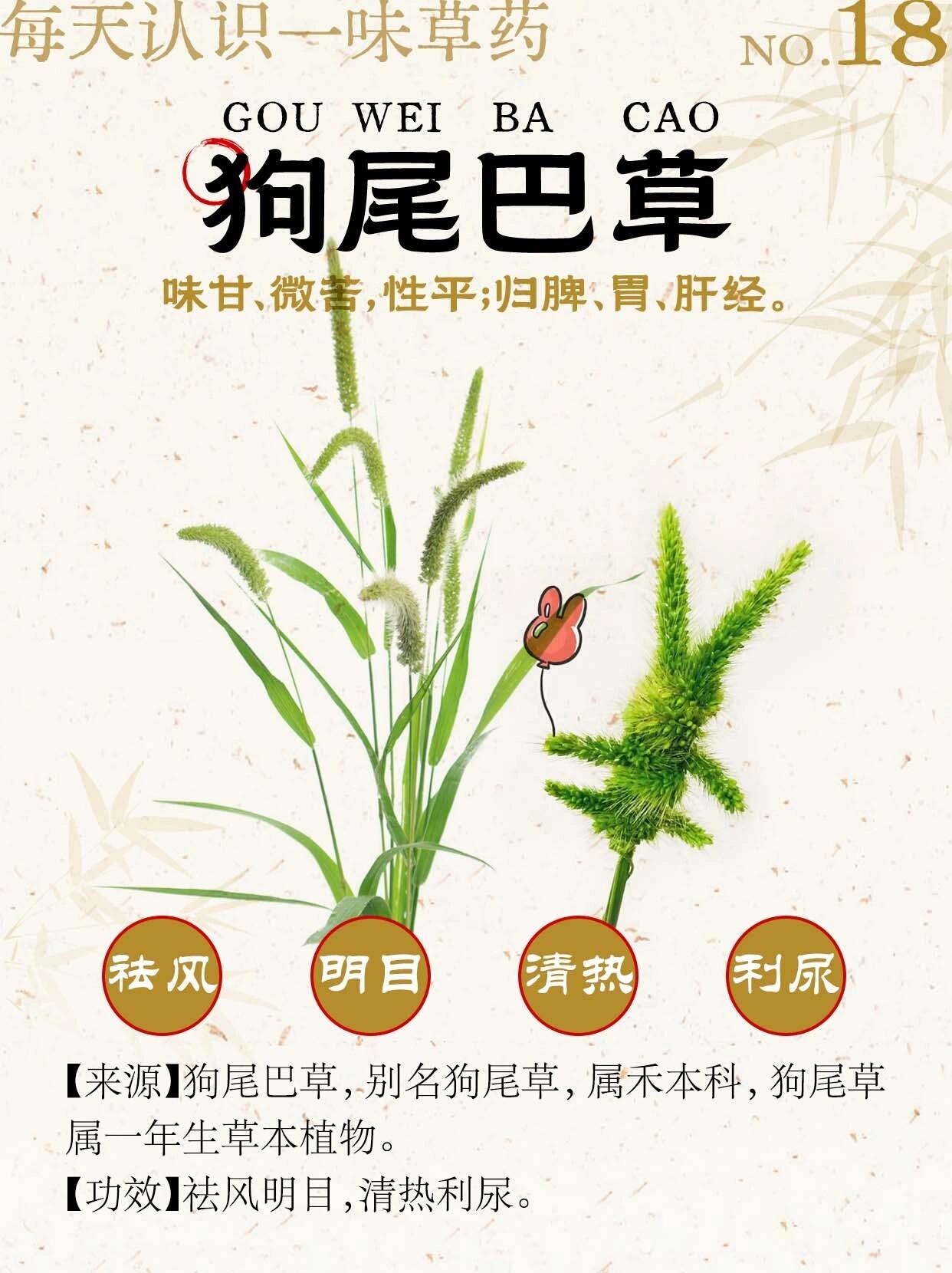 羿蘊秀