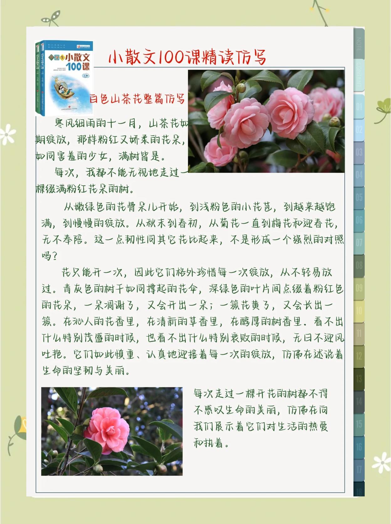 卉怎么讀
