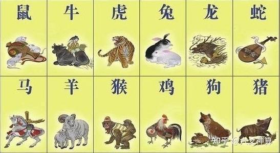 屬相相沖就一定不好嗎