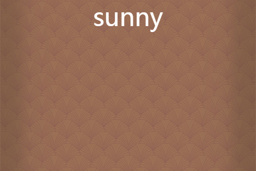 英語(yǔ)sunny是什么意思啊怎么讀