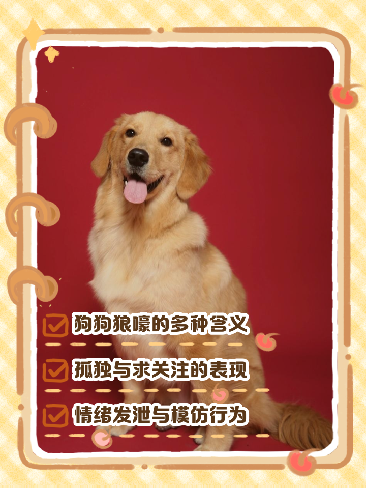 做夢找狗什么預兆