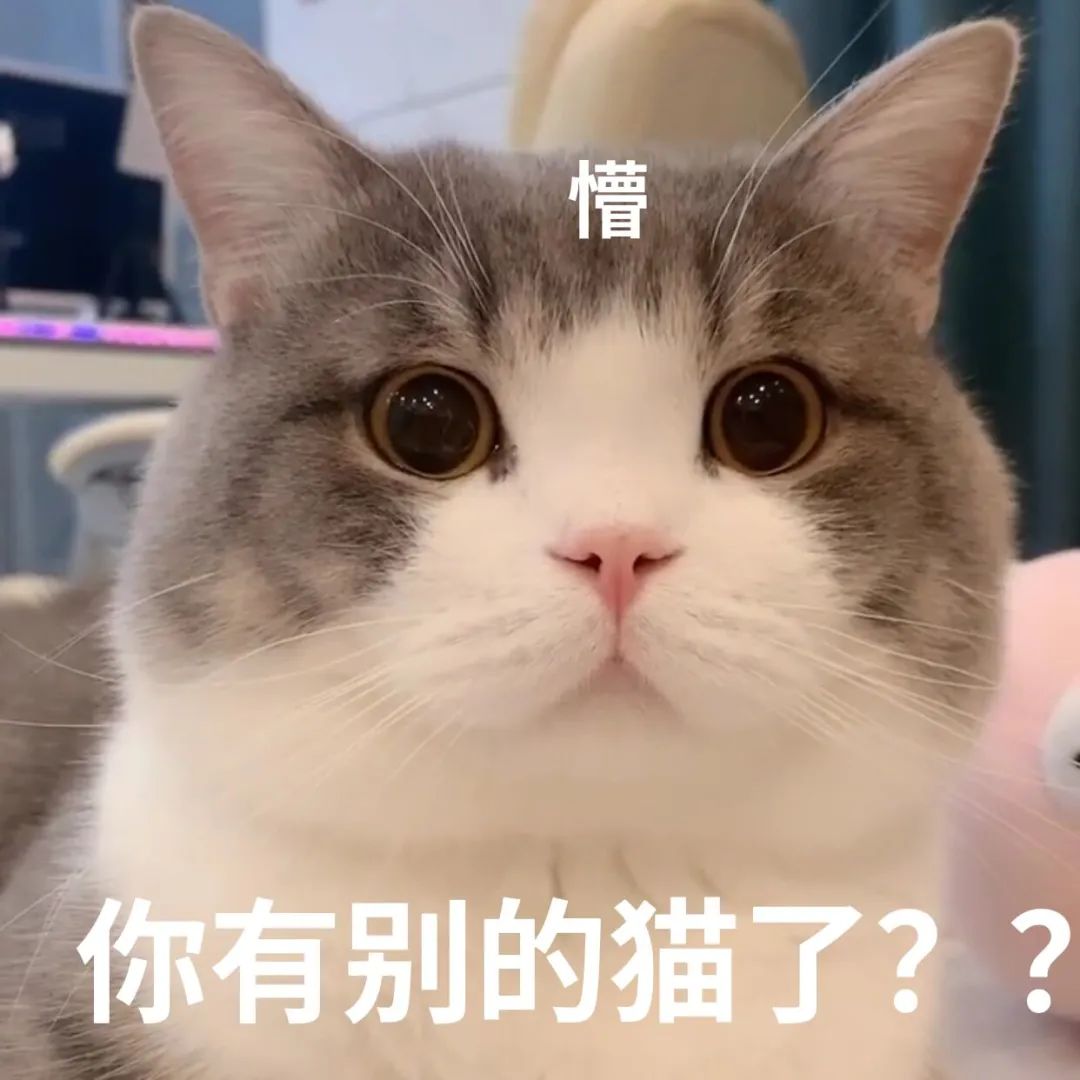 詐傻扮懵是什么意思