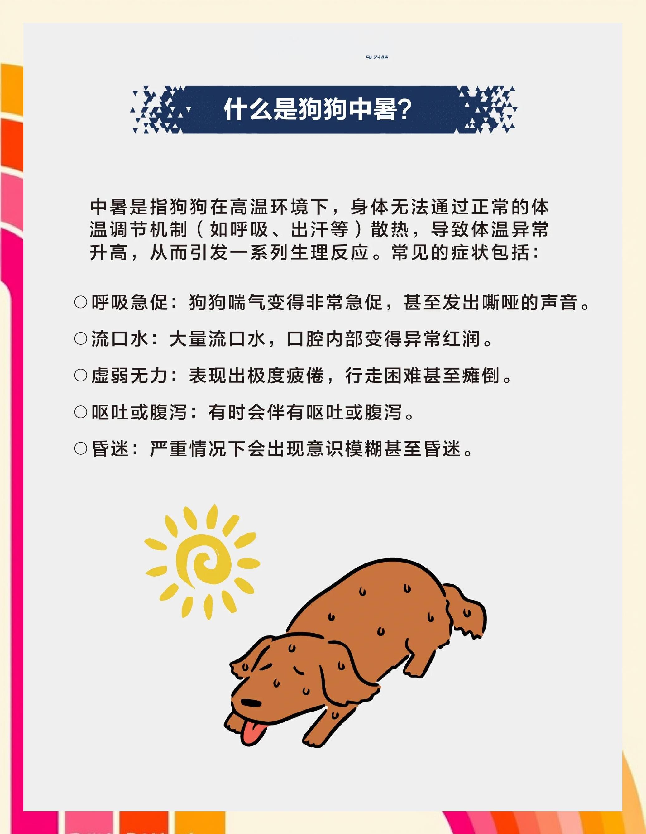 狗中暑啥癥狀