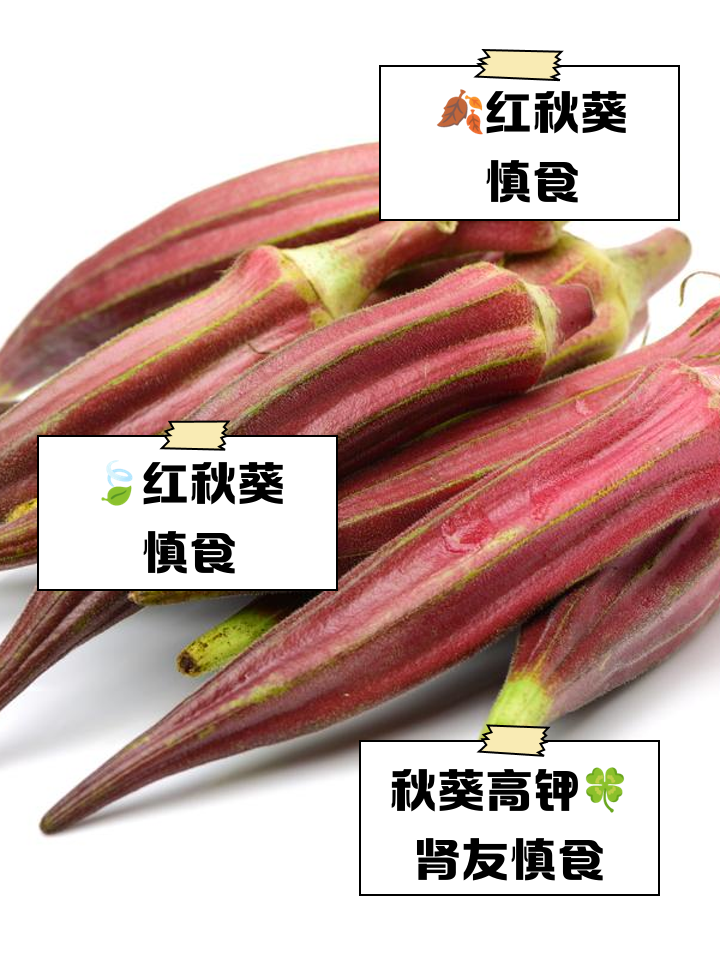 紅秋葵怎么做好吃呢竅門