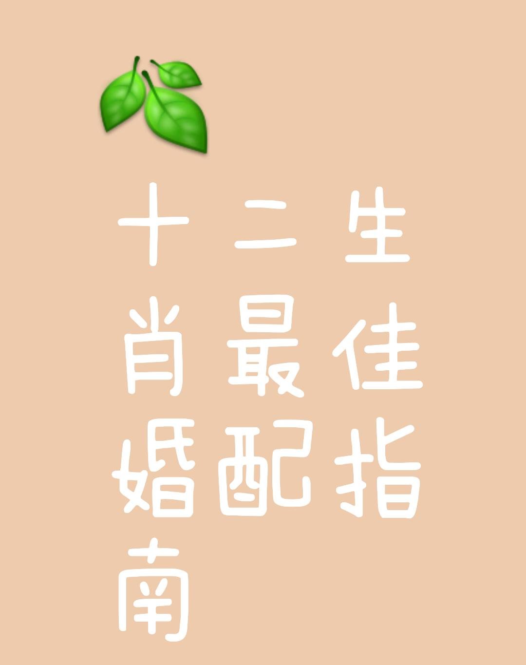 2025年9月17日 第58頁
