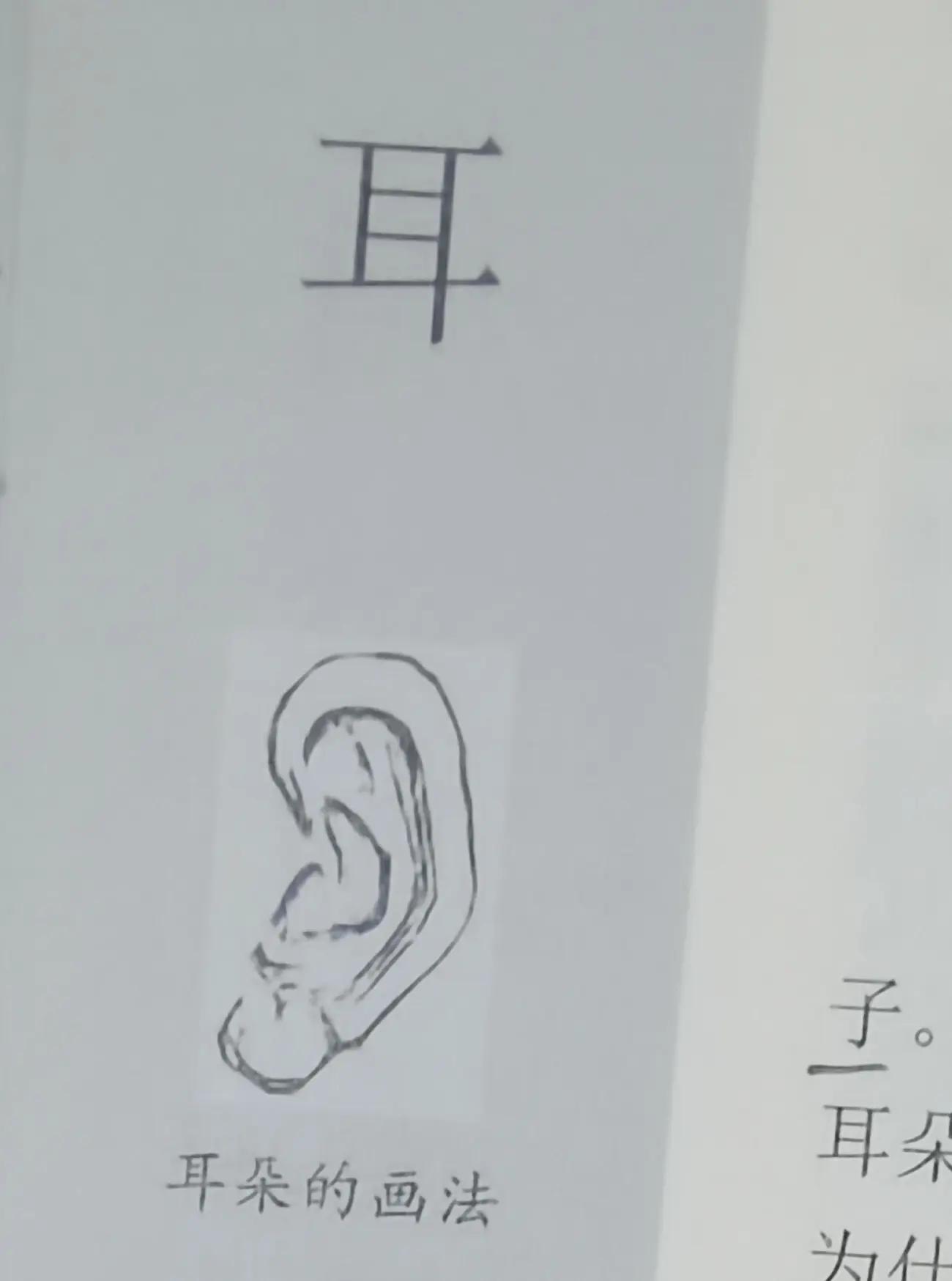 手的筆順怎么寫