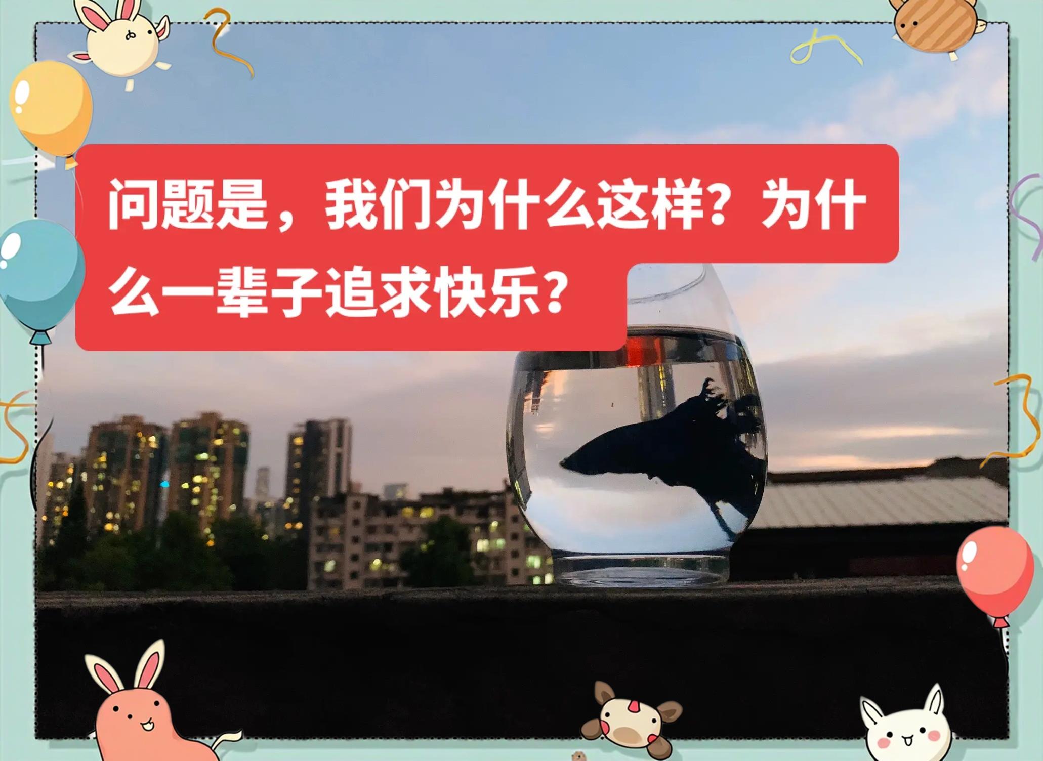 什么是真正的快樂句子