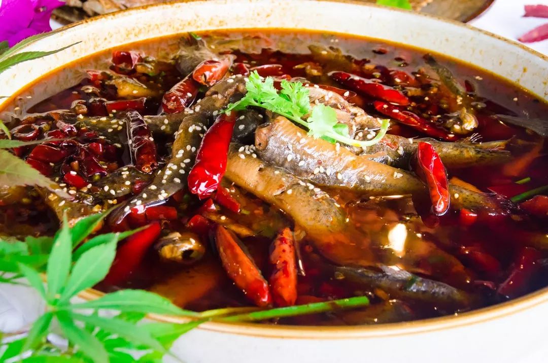 泥鰍魚的做法大全家常