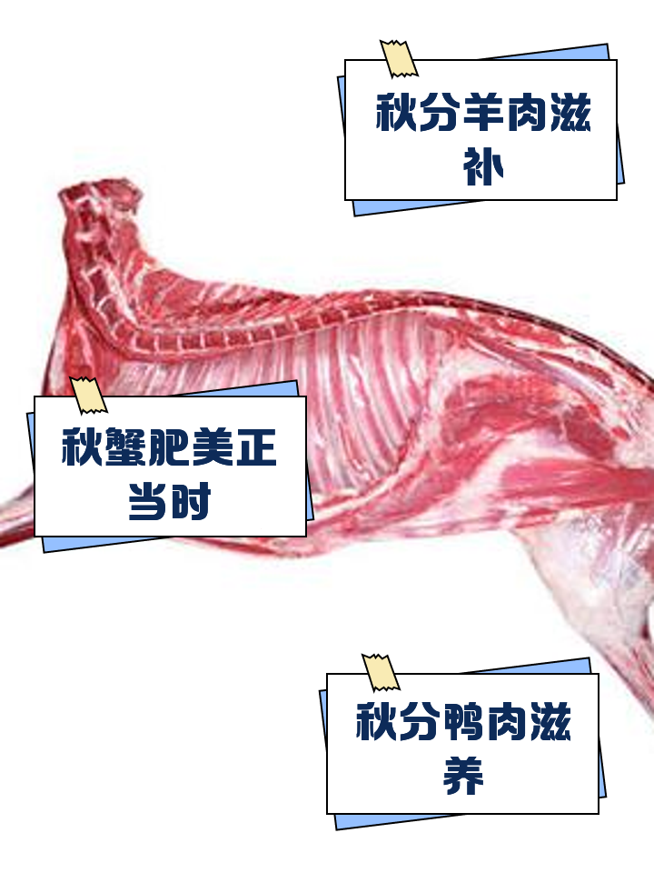 2025年9月19日 第202頁