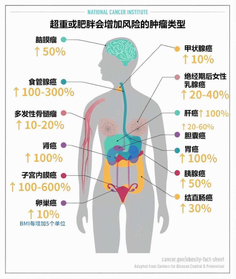 family是什么意思