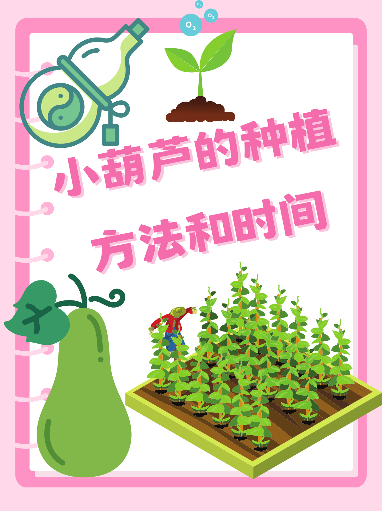 如何種植葫蘆視頻教程