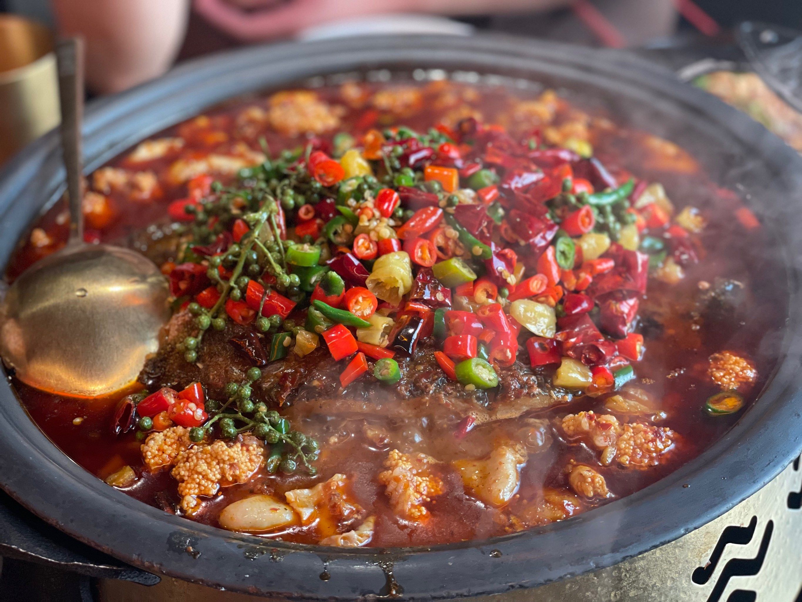 凌波魚是什么魚圖片