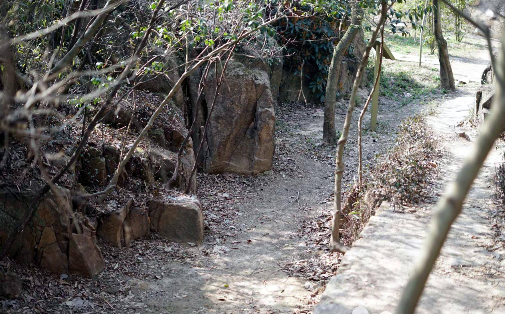 筆名寒山簡介