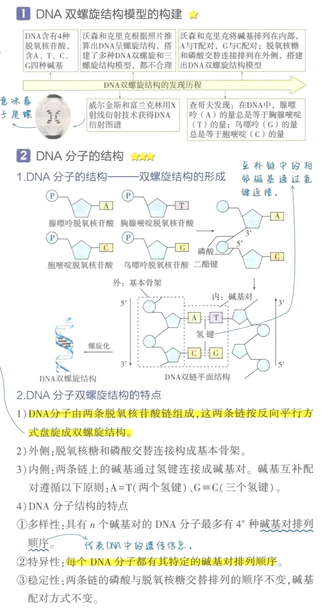 dna雙螺旋結構是什么誕生的標志