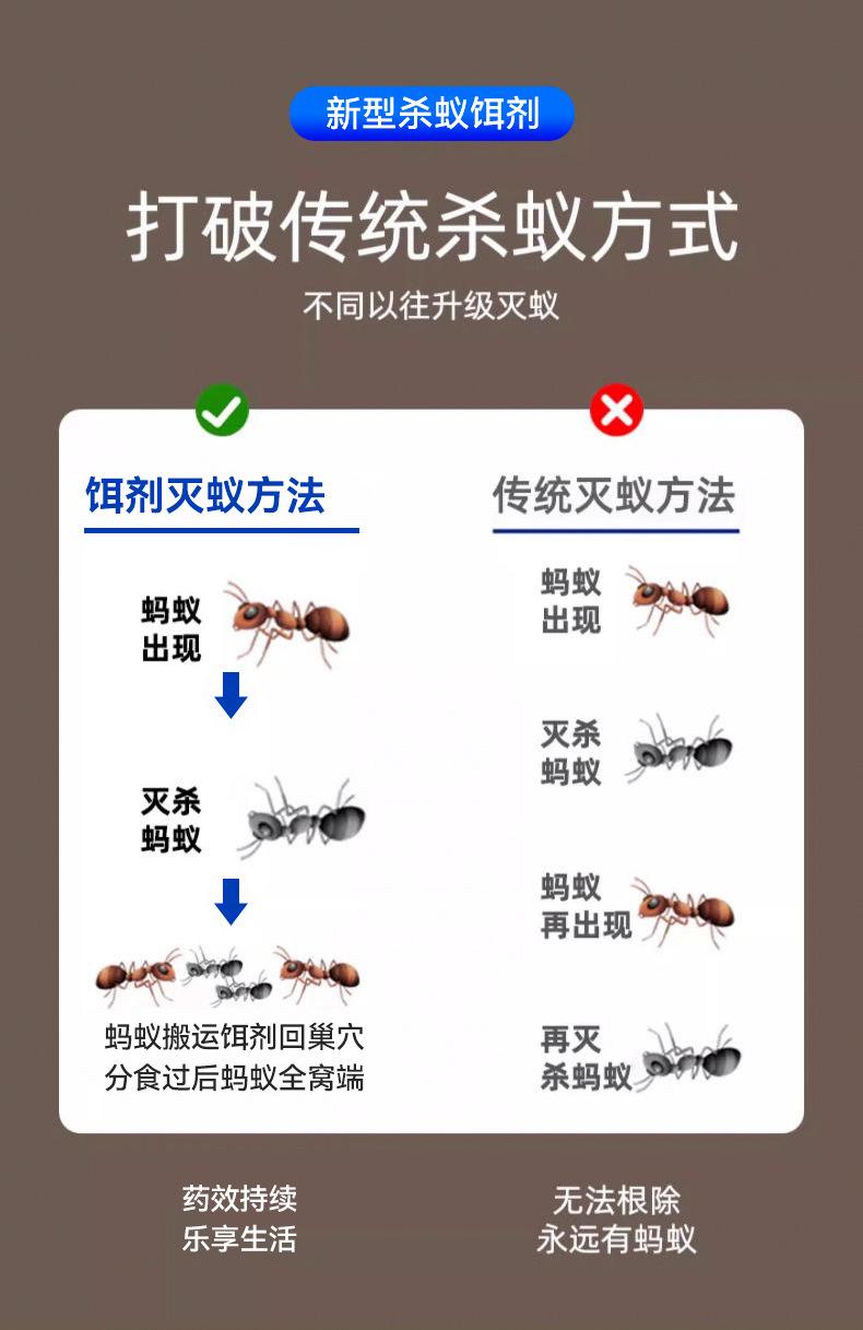 家里的螞蟻怎么消滅