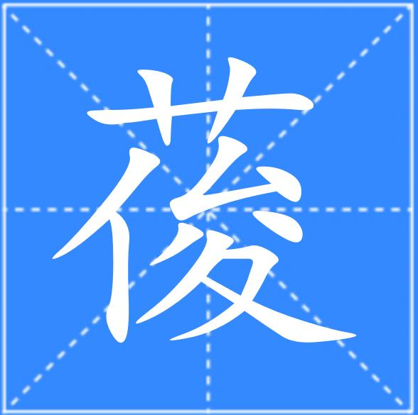 荽怎么讀音