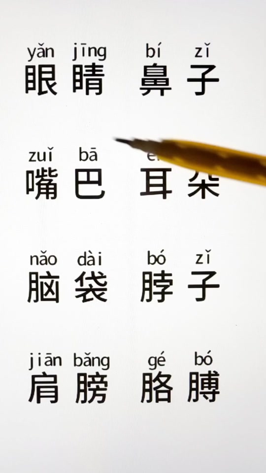 蜘蛛拼音怎樣寫