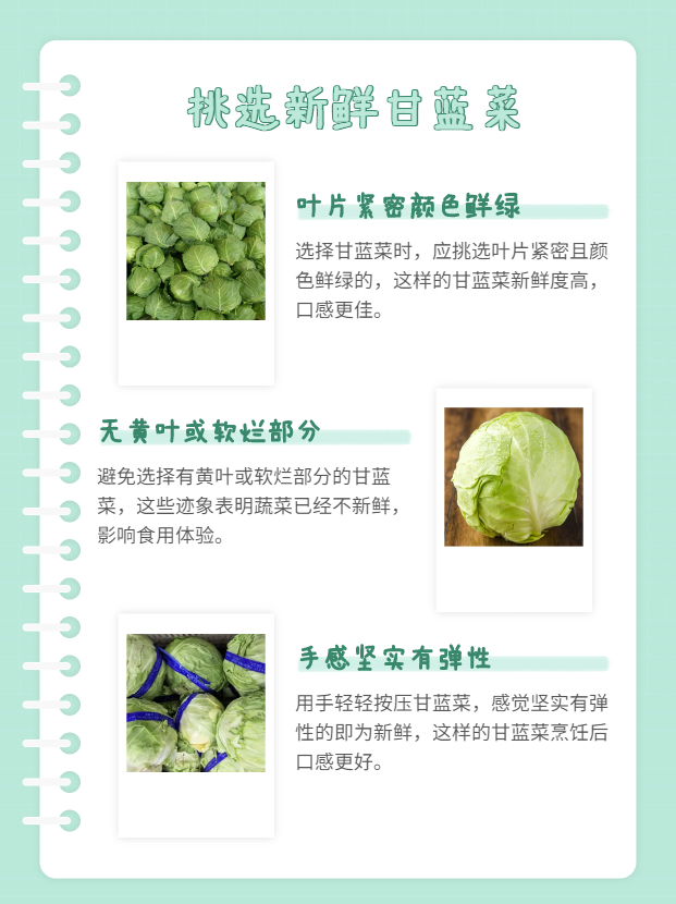 包菜和卷心菜哪個好吃