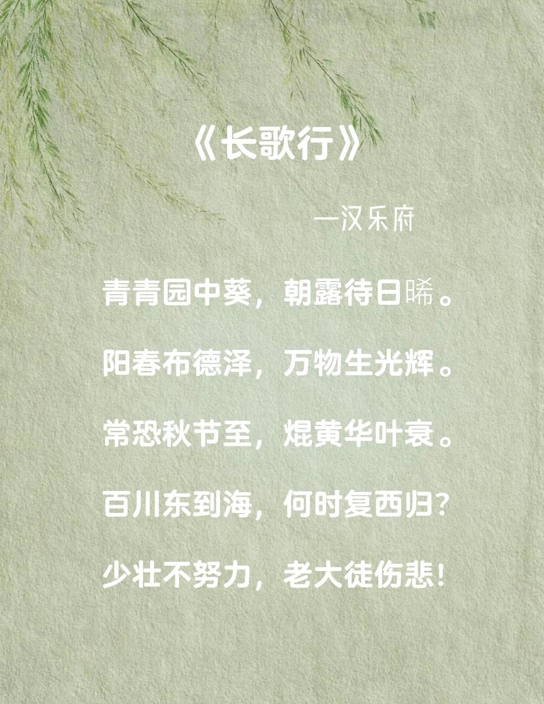 有關于青春的詩歌唯美語錄