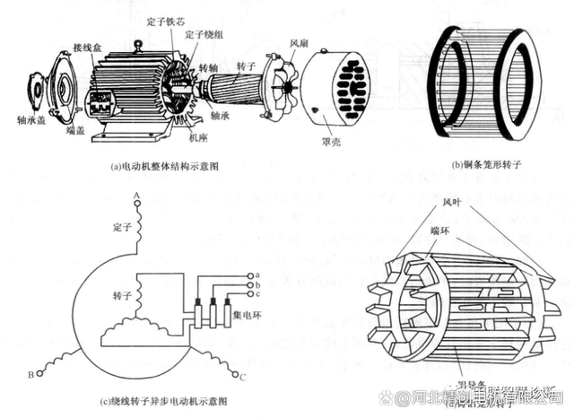電動機的工作原理初三是什么