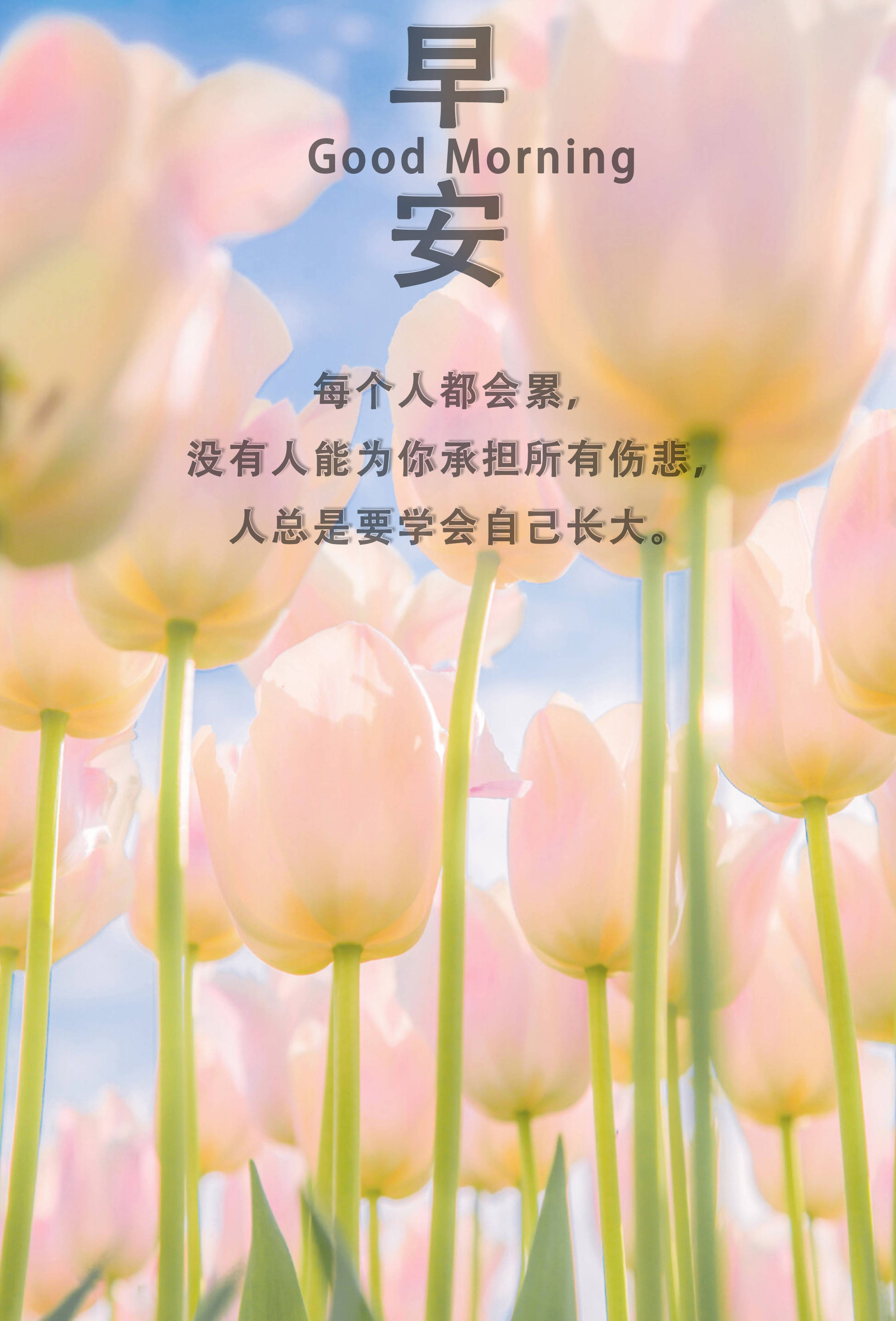 說說至生活