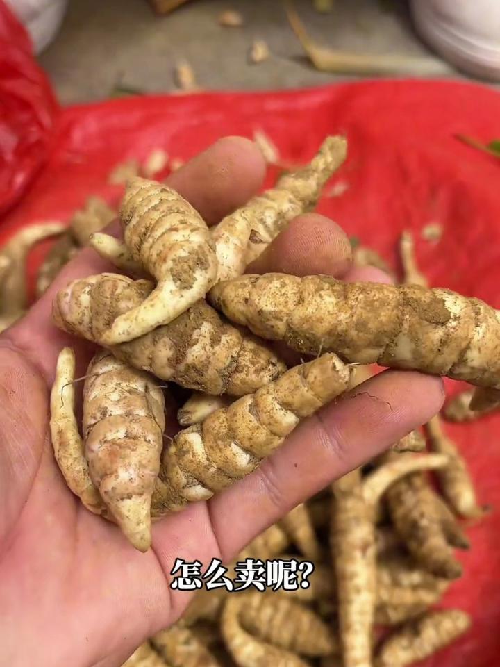 云南地參的吃法和功效