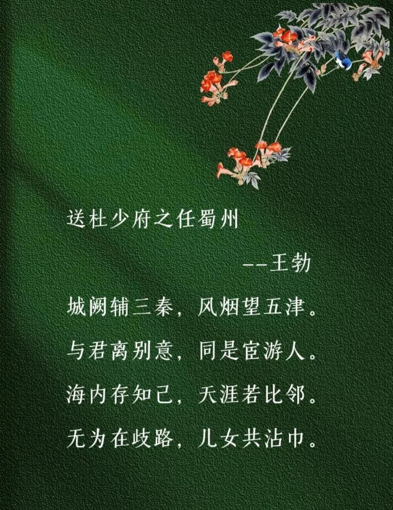 海內存知己天涯若比鄰的意思是啥