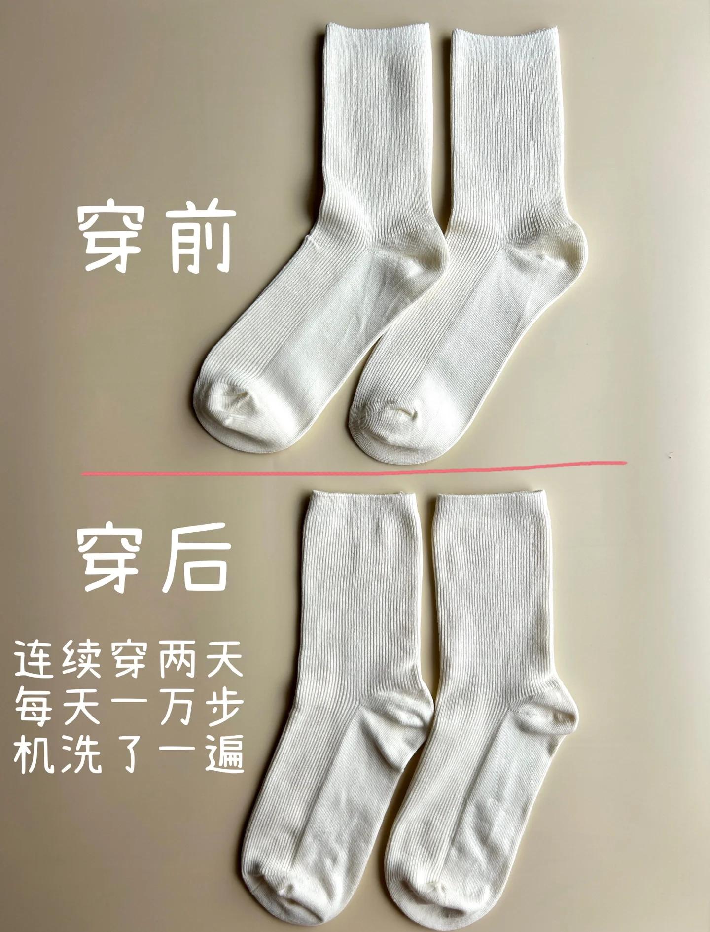 chan能組什么詞