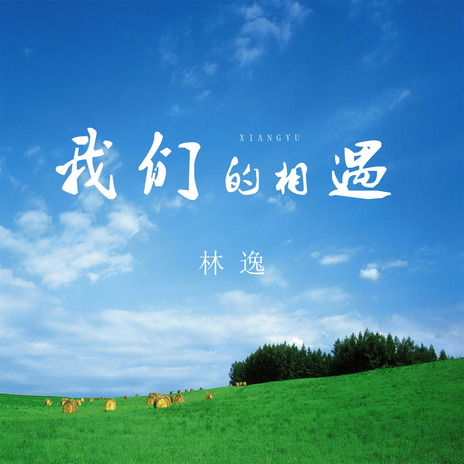 最美的相遇歌詞表達(dá)什么意思