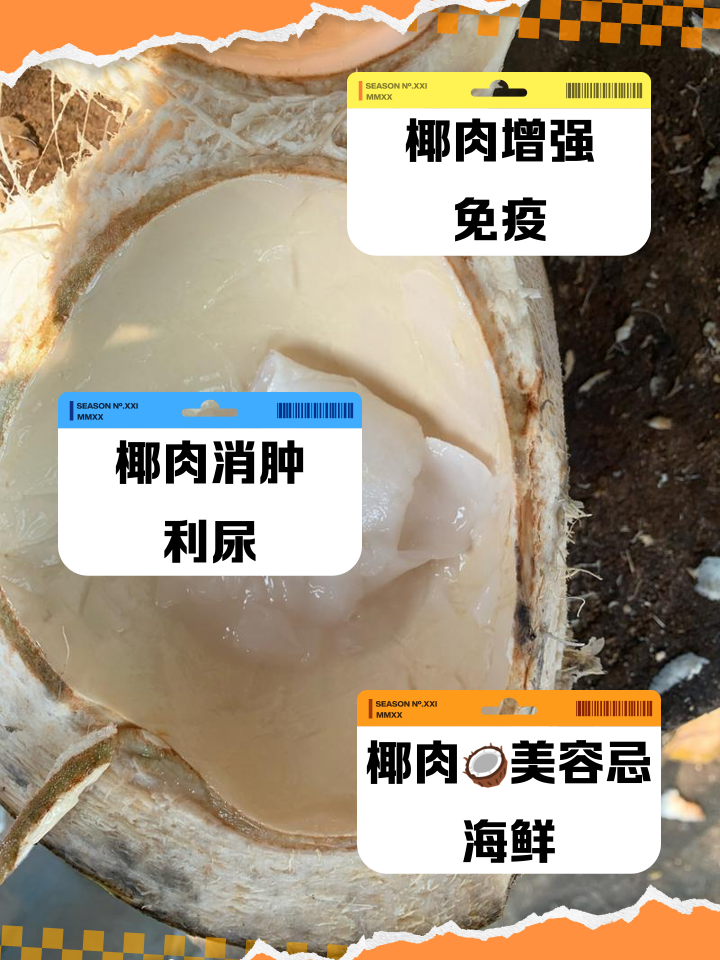 椰子肉吃多了好不好