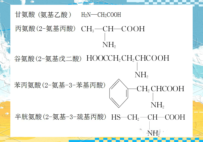 苯的化學性質教案