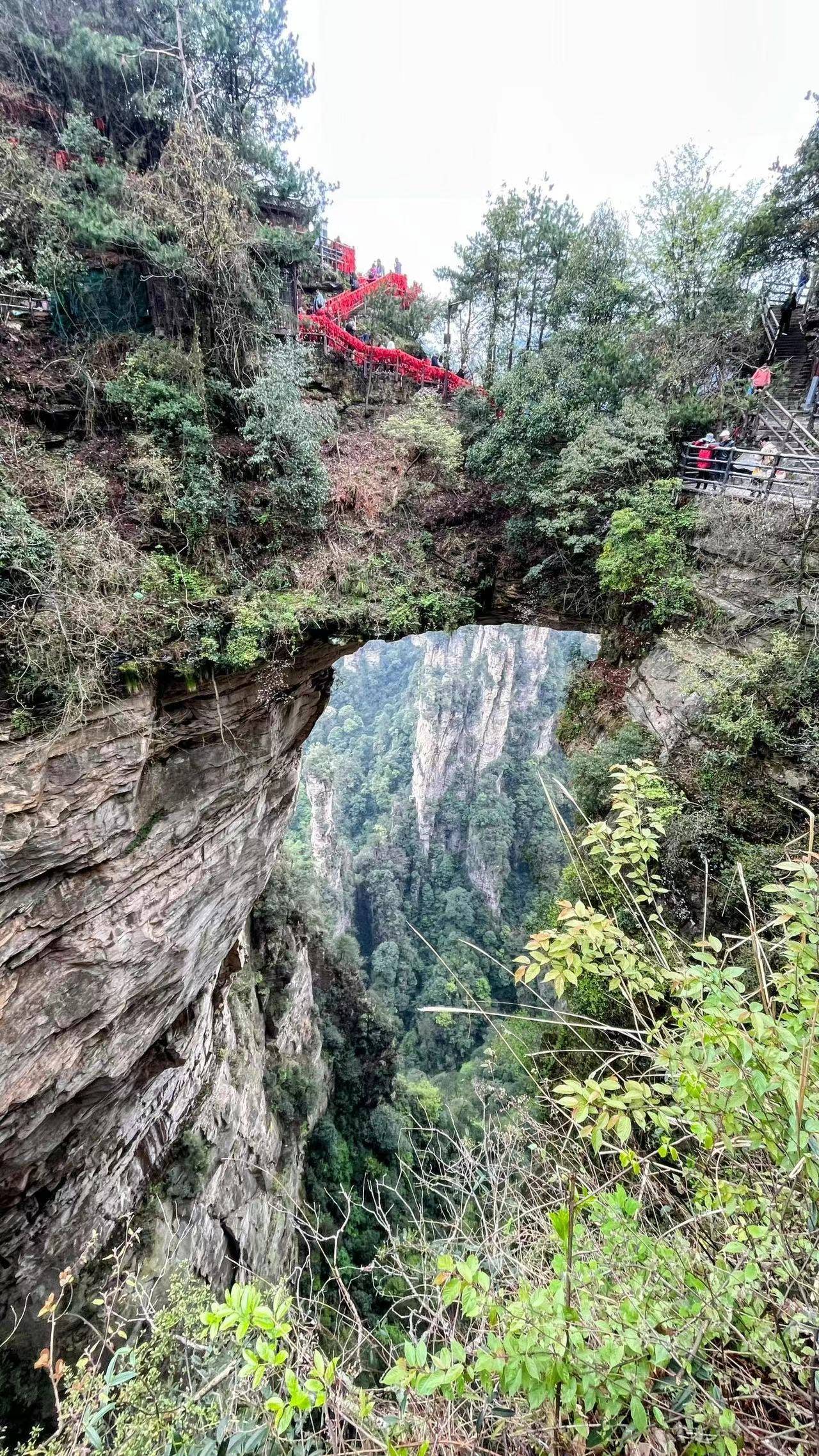 湖南張家界在哪個縣
