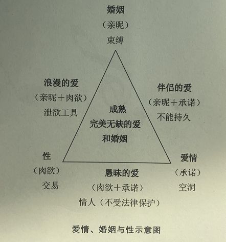 柏拉圖是什么意思