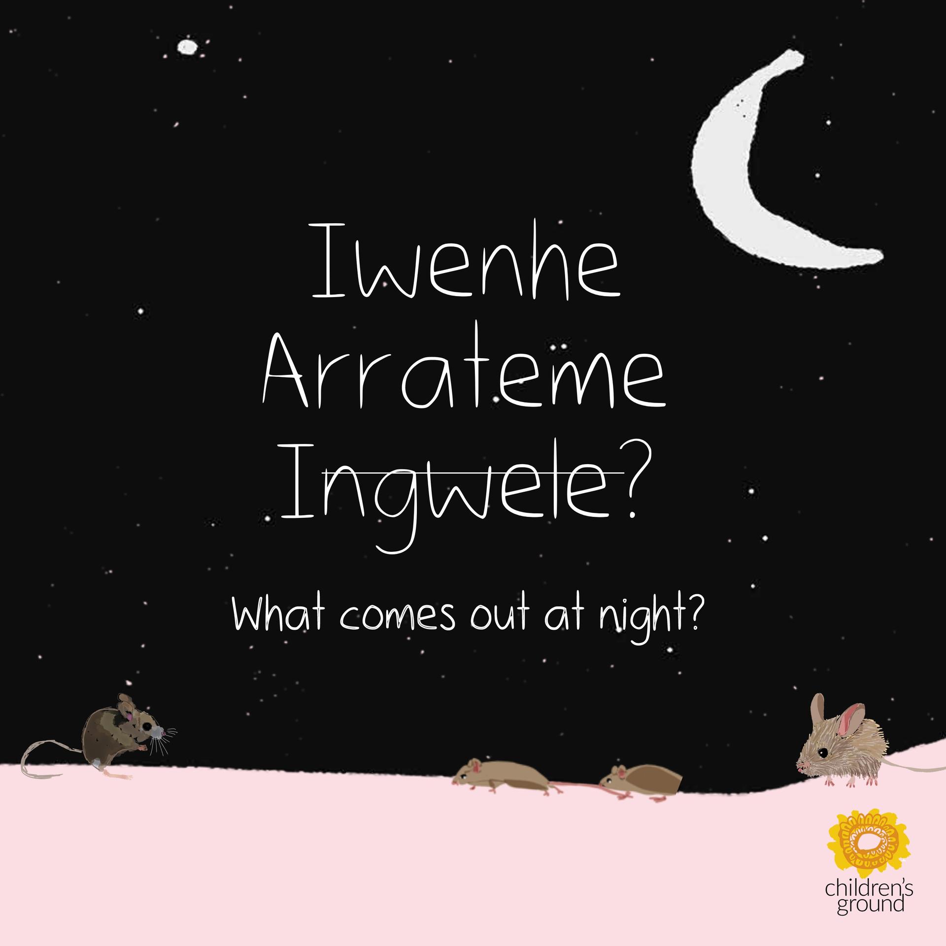 晚上用英語怎么讀night