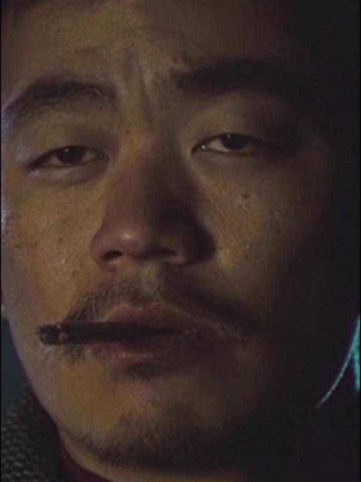 樹先生說的是什么意思