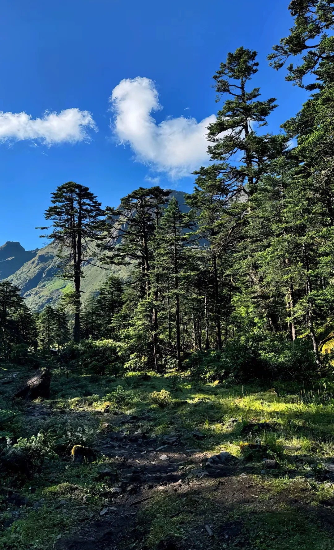 碧羅雪山山脈