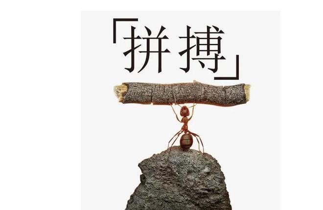 努力拼搏是什么意思