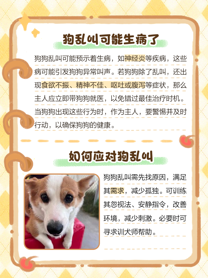 夢見一群小狗玩耍是什么意思