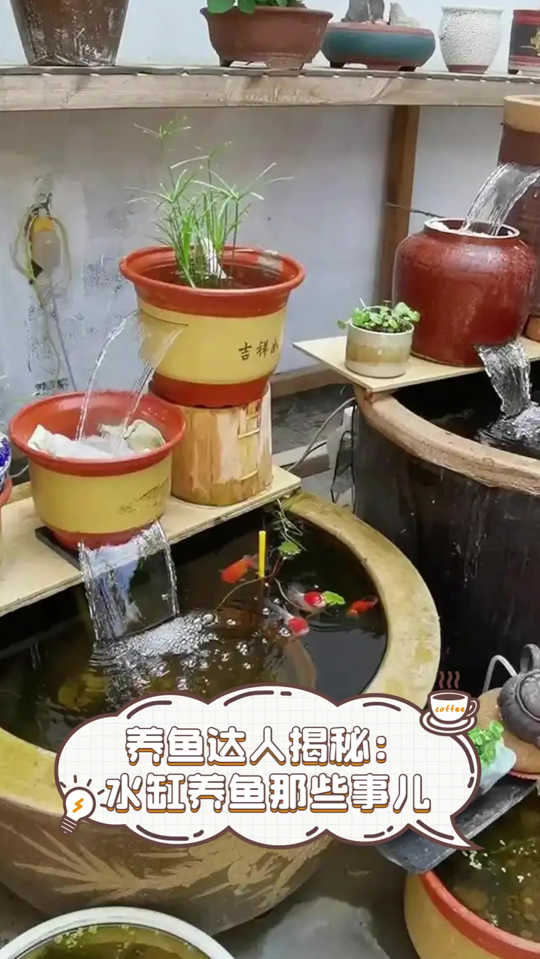 圓柱形玻璃魚缸怎么養(yǎng)魚