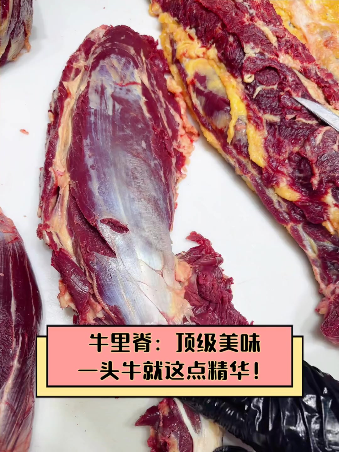 牛肉里脊肉是哪個部位視頻講解