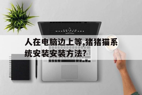 人在電腦邊上等,豬豬貓系統安裝安裝方法?