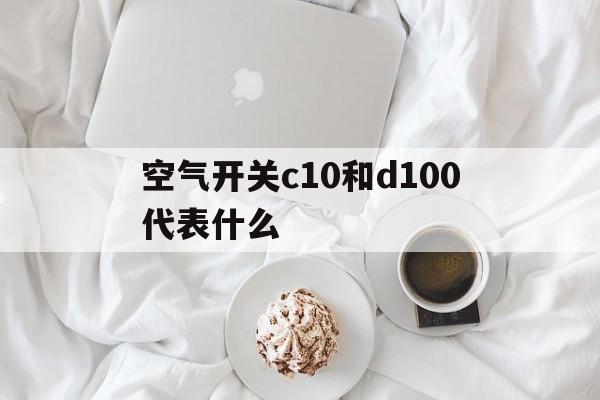 空氣開關c10和d100代表什么